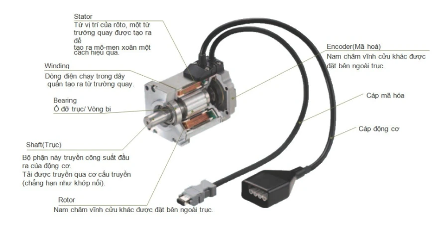 Động Cơ Servo là gì? Cấu tạo và nguyên lý hoạt động của động cơ Servo