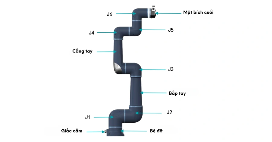 Robot Cộng Tác Thông Minh (Cobot S Series)