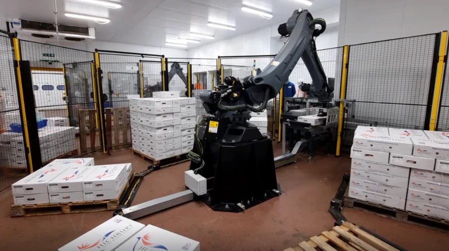 Cánh tay robot phân loại sản phẩm