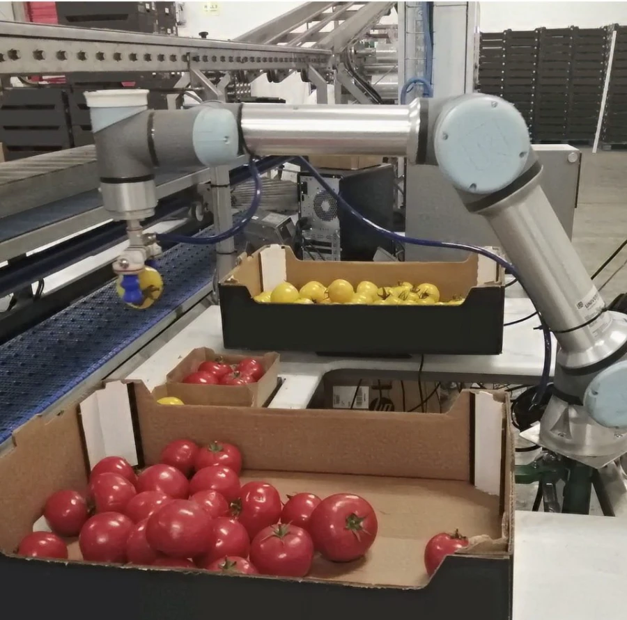 Cánh tay robot phân loại sản phẩm