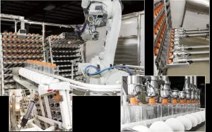 Robot gắp sản phẩm nhựa