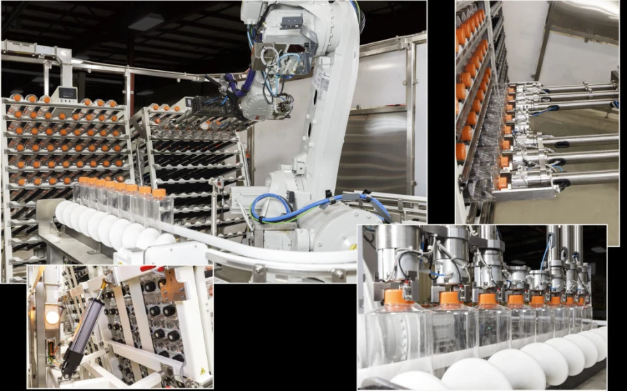 Robot gắp sản phẩm nhựa