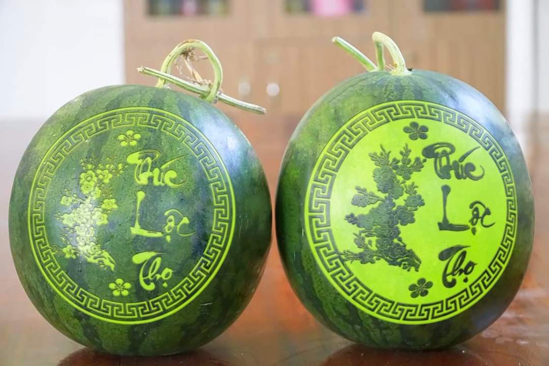 Máy Khắc Laser Hoa Quả Mini: Nghệ thuật khắc Dưa Hấu, Bưởi, Dừa