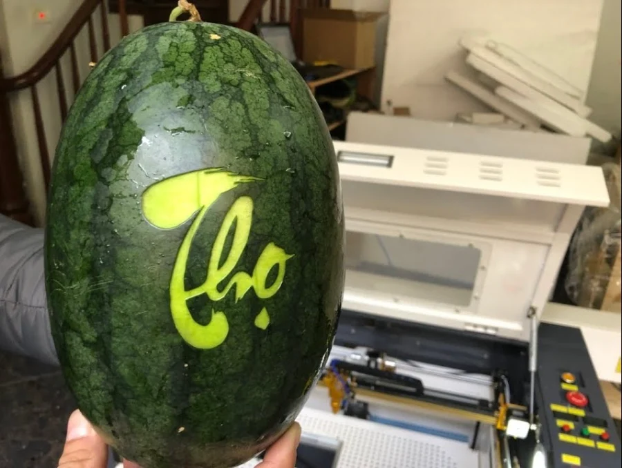 Máy Khắc Laser Hoa Quả Mini: Nghệ thuật khắc Dưa Hấu, Bưởi, Dừa