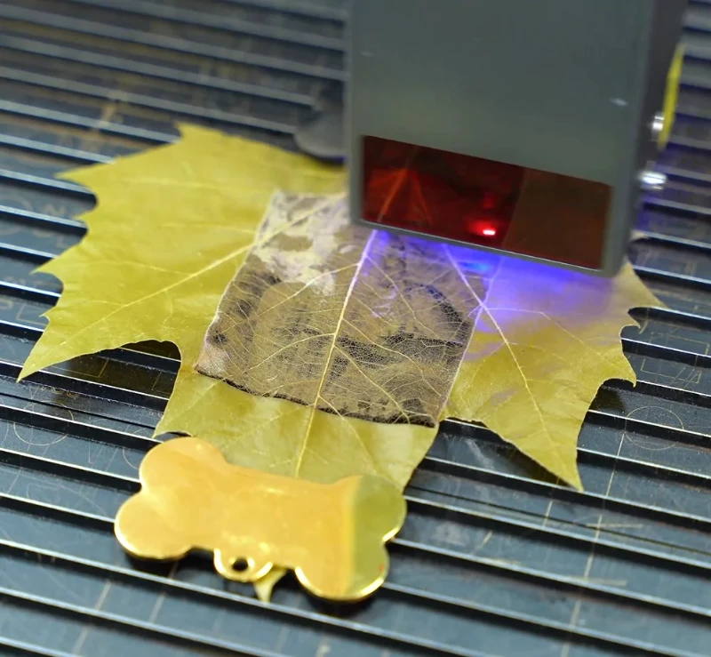 Máy Khắc Laser Lá Cây: Khắc lá cây không cháy, sắc nét