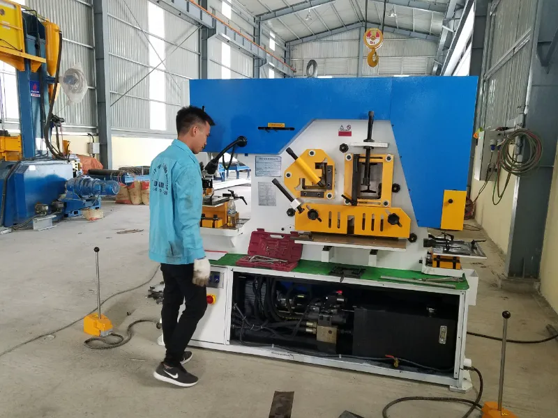 Máy cắt đột 5 chức năng liên hợp